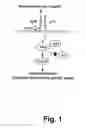 Fig. 02 - Cellular RhoGTPase activation assay