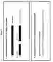 Fig. 02 - Alternatively spliced isoform of mitotic centromere-associated kinesin (MCAK)
