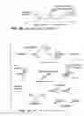 Fig. 03 - Cleavage of nucleic acids