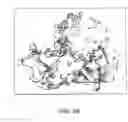 Fig. 85 - Cleavage of nucleic acids
