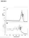 Fig. 02 - Primers, probes and methods for nucleic acid amplification