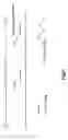Fig. 02 - Compositions and methods for detecting group B streptococci