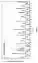 Fig. 06 - Biallelic markers for use in constructing a high density disequilibrium map of the human genome