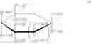 Fig. 05 - Intracellular formation of peptide conjugates
