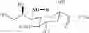 Fig. 12 - Intracellular formation of peptide conjugates