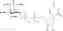 Fig. 17 - Intracellular formation of peptide conjugates