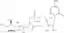 Fig. 25 - Intracellular formation of peptide conjugates
