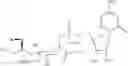 Fig. 27 - Intracellular formation of peptide conjugates