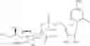 Fig. 29 - Intracellular formation of peptide conjugates