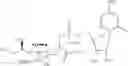 Fig. 30 - Intracellular formation of peptide conjugates