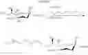 Fig. 45 - Intracellular formation of peptide conjugates