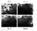 Fig. 01 - Methods of using antibodies to human IL-13bc for inhibiting IL-13 binding