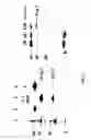 Fig. 02 - Methods and materials for characterizing and modulating interaction between heregulin and HER3