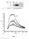 Fig. 08 - Methods and materials for characterizing and modulating interaction between heregulin and HER3