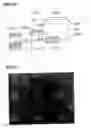 Fig. 09 - Semiconductor thin film, thin film transistor, method for manufacturing same, and manufacturing equipment of semiconductor thin film