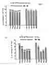 Fig. 07 - Use of a polypeptide for treatment of pruritus in animals