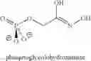 Fig. 03 - Methods for indentifying compounds that modulate an enzyme involved in reductive carboxylation in a pathogenic microorganism