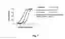 Fig. 08 - Apogossypolone and the uses thereof