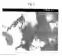 Fig. 06 - Method of producing an exfoliated polymer-clay nanocomposite through solid-state shear pulverization