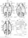 Fig. 08 - Needleless access port valves