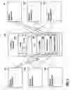 Fig. 04 - Systems and method for automatic integrated document filing when logging business transactions