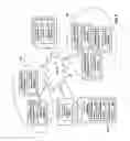 Fig. 09 - Consumer-controlled limited and constrained access to a centrally stored information account