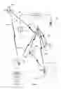 Fig. 02 - Orchestral rendering of data content based on synchronization of multiple communications devices
