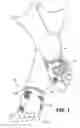 Fig. 02 - Adjustable formfitting protective footwear