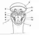 Fig. 01 - Shaver with flushable hair chamber