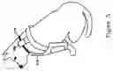 Fig. 06 - Elbow pads for dogs