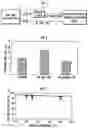 Fig. 02 - Method for controlling compression ignition internal combustion engine