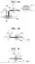 Fig. 04 - Optical recording medium and manufacturing method thereof
