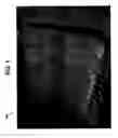 Fig. 02 - Frayless frangible connection for fabric and vertical blind system and vertical drapery system incorporating the same