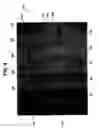 Fig. 07 - Frayless frangible connection for fabric and vertical blind system and vertical drapery system incorporating the same