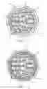 Fig. 02 - Communication cable