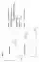 Fig. 08 - Organosilanes and substrates covalently bonded with same and methods for synthesis and use same