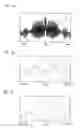 Fig. 07 - Position measuring system with a scanning unit having a reference pulse signal detection unit