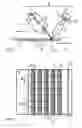 Fig. 02 - Read-out device and method for reading out X-rays stored in phosphor layers