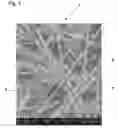 Fig. 02 - Porous carbon base material, method for preparation thereof, gas-diffusing material film-electrode jointed article, and fuel cell