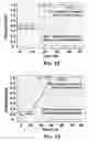 Fig. 11 - Systems, methods and devices for providing variable-latency write operations in memory devices
