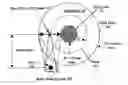 Fig. 01 - Adaptive read and read-after-write for carbon nanotube recorders