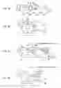 Fig. 02 - Developing apparatus