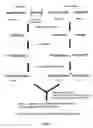 Fig. 02 - Assays for dna methylation changes