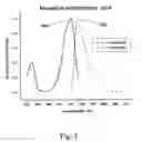 Fig. 04 - Fluorescent and colored proteins, and polynucleotides that encode these proteins