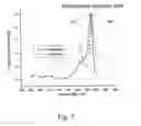 Fig. 08 - Fluorescent and colored proteins, and polynucleotides that encode these proteins
