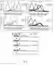 Fig. 05 - Method for haplotyping and genotyping by melting curve analysis of hybridization probes