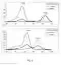 Fig. 06 - Method for haplotyping and genotyping by melting curve analysis of hybridization probes