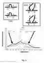 Fig. 07 - Method for haplotyping and genotyping by melting curve analysis of hybridization probes