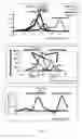 Fig. 12 - Method for haplotyping and genotyping by melting curve analysis of hybridization probes
