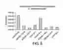 Fig. 06 - Methods of identifying genes which modulate myelination